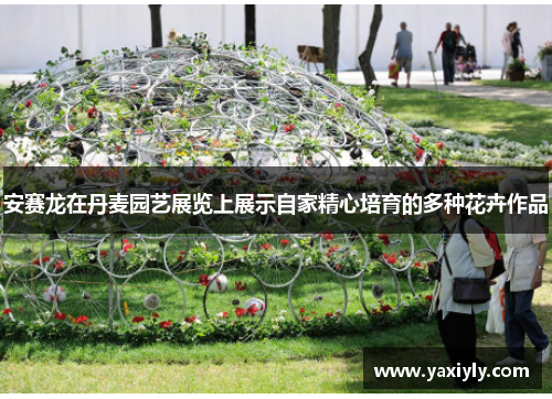 安赛龙在丹麦园艺展览上展示自家精心培育的多种花卉作品