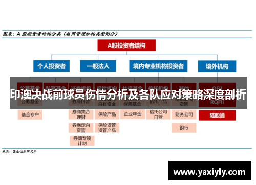 印澳决战前球员伤情分析及各队应对策略深度剖析