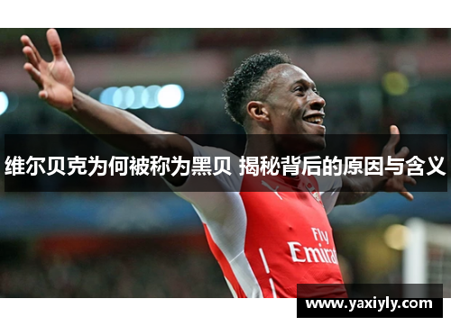 维尔贝克为何被称为黑贝 揭秘背后的原因与含义